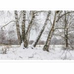 Winter am Exer, 2020, Murakumo Kozo Select White, 42 gsm, 0,16 mm