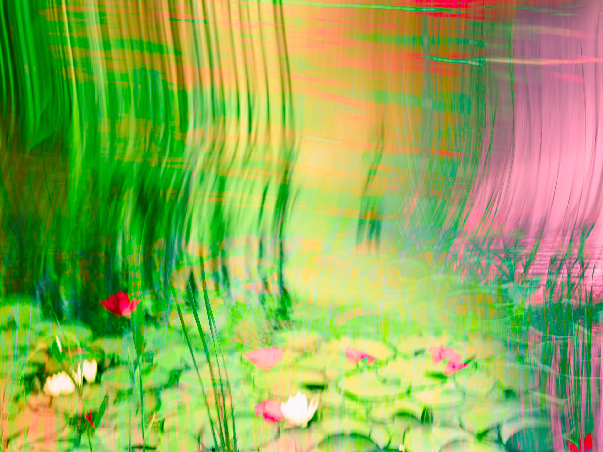 Am Ufer des Weissensses